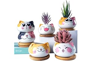 Charming Totoro Pot - Mini Ceramic Haven for Verdant Delights