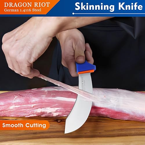 Miniatura 2 de DRAGON RIOT Cuchillo de desollar de 6 pulgadas, cuchillo de desollar carne para cortar carne, cuchillo de procesamiento de carnicero de carne de