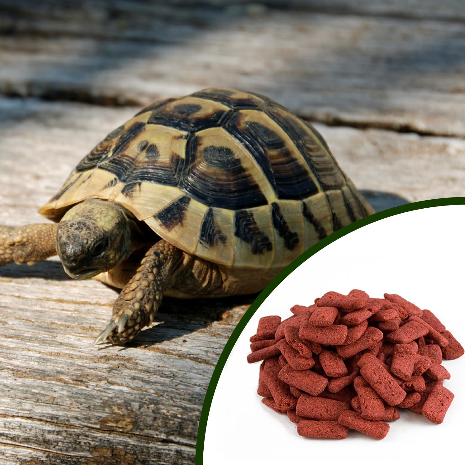 Mozaic Tortoise Food And Turtle Pellets Supplement Complete