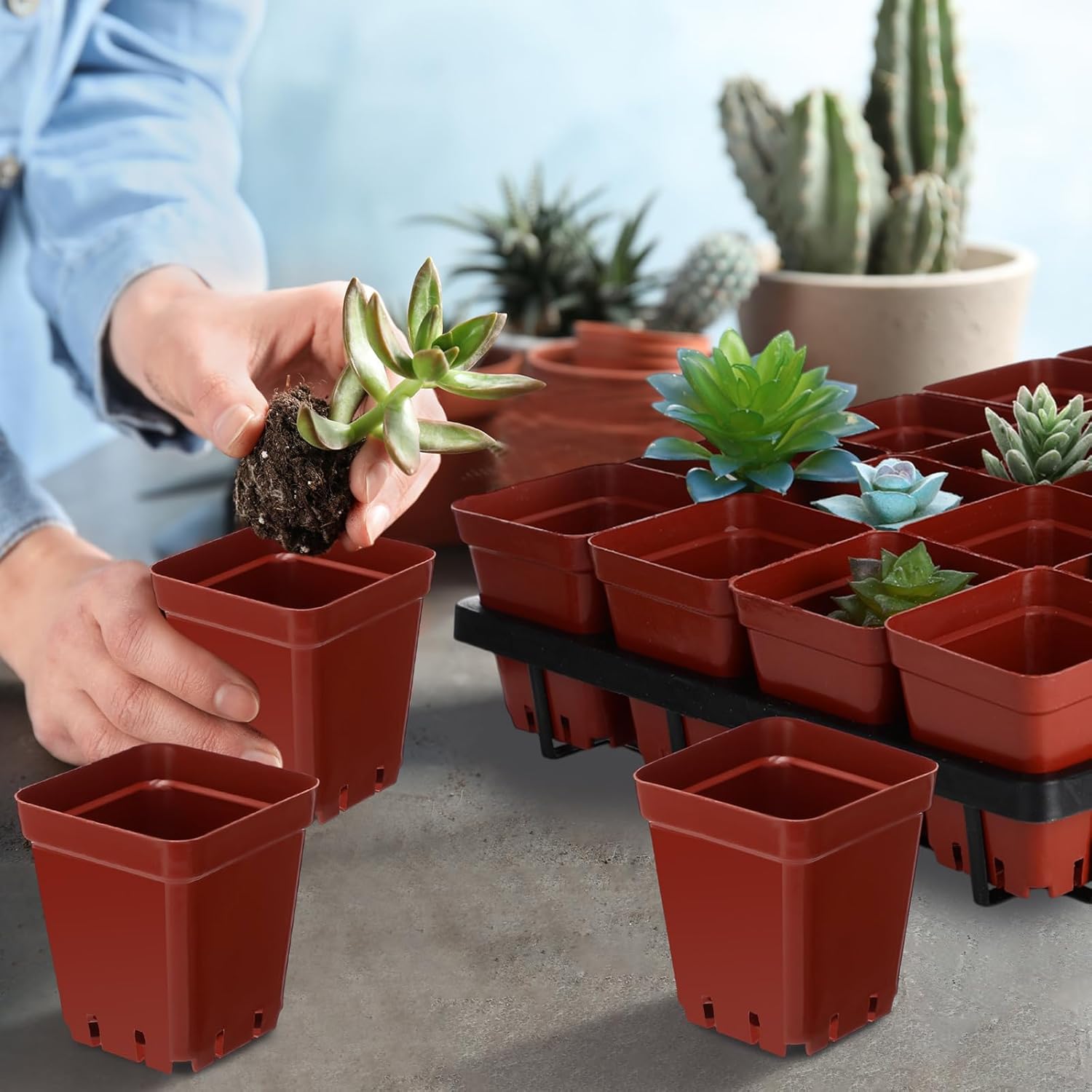 Vesici 24 Cell Square Planting Trays Set, 5 Pack Plant Trays for Pots and 200 Pack 2.7 Inch Plastic Seedling Pots, Thickened Seed Starting Garden Tray Nursery Pots (11" x 17" x 2", 120 Cells in Total)