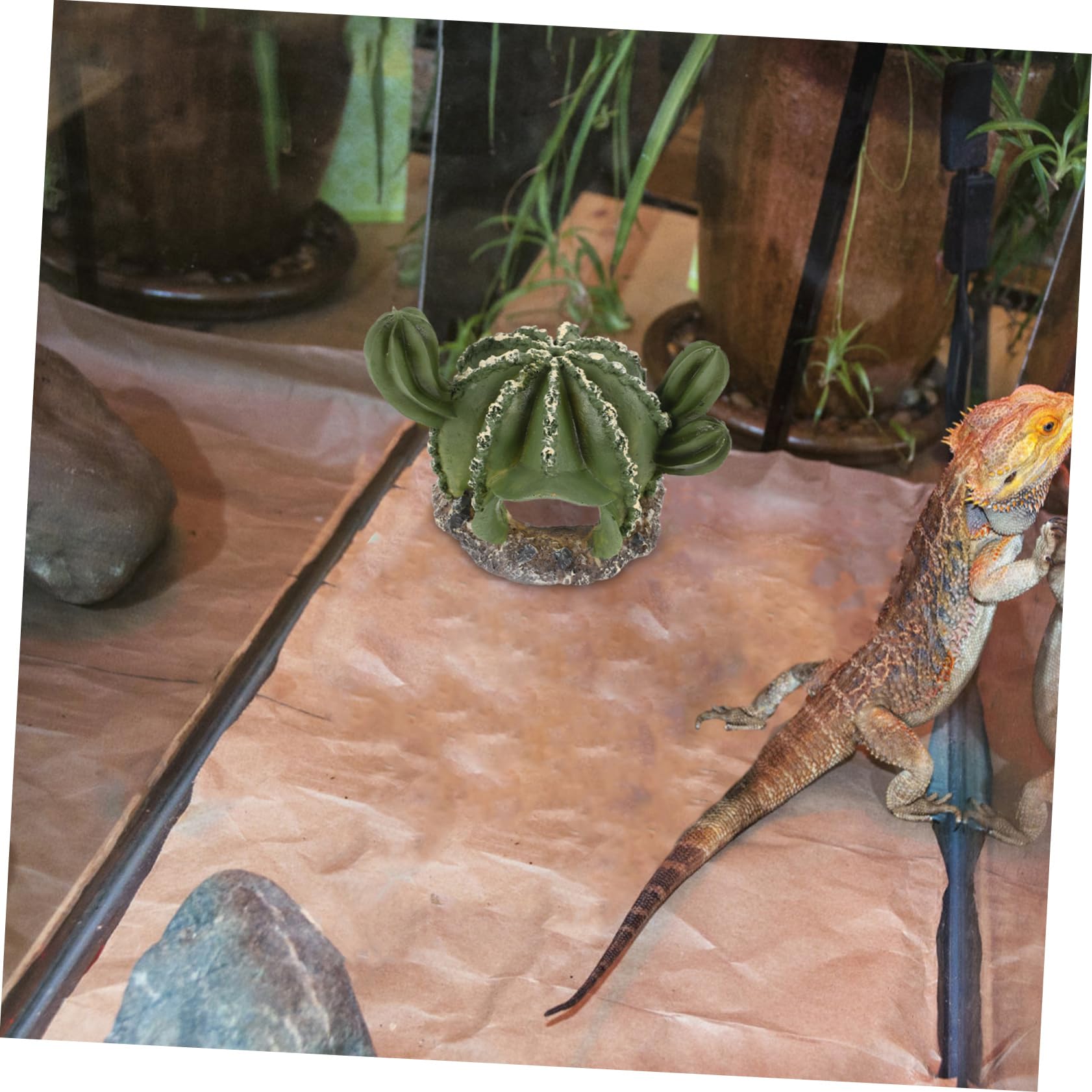 Happyyami 3piezas Cueva Decorativa para Reptiles Forma De Cactus Refugio Práctico para Terrarios Escondite Natural para Lagartijas y Serpientes Accesorio De Paisajismo para Tanques De
