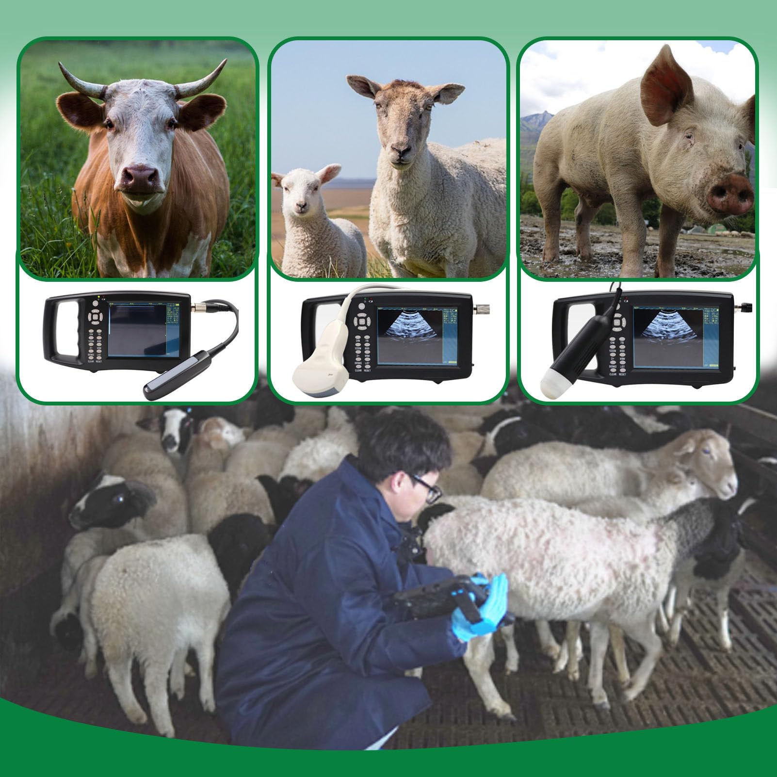 Analizzatore veterinario portatile di ultrasuono con la sonda 3.5/6.5MHz per il bestiame e la diagnostica dell'animale domestico