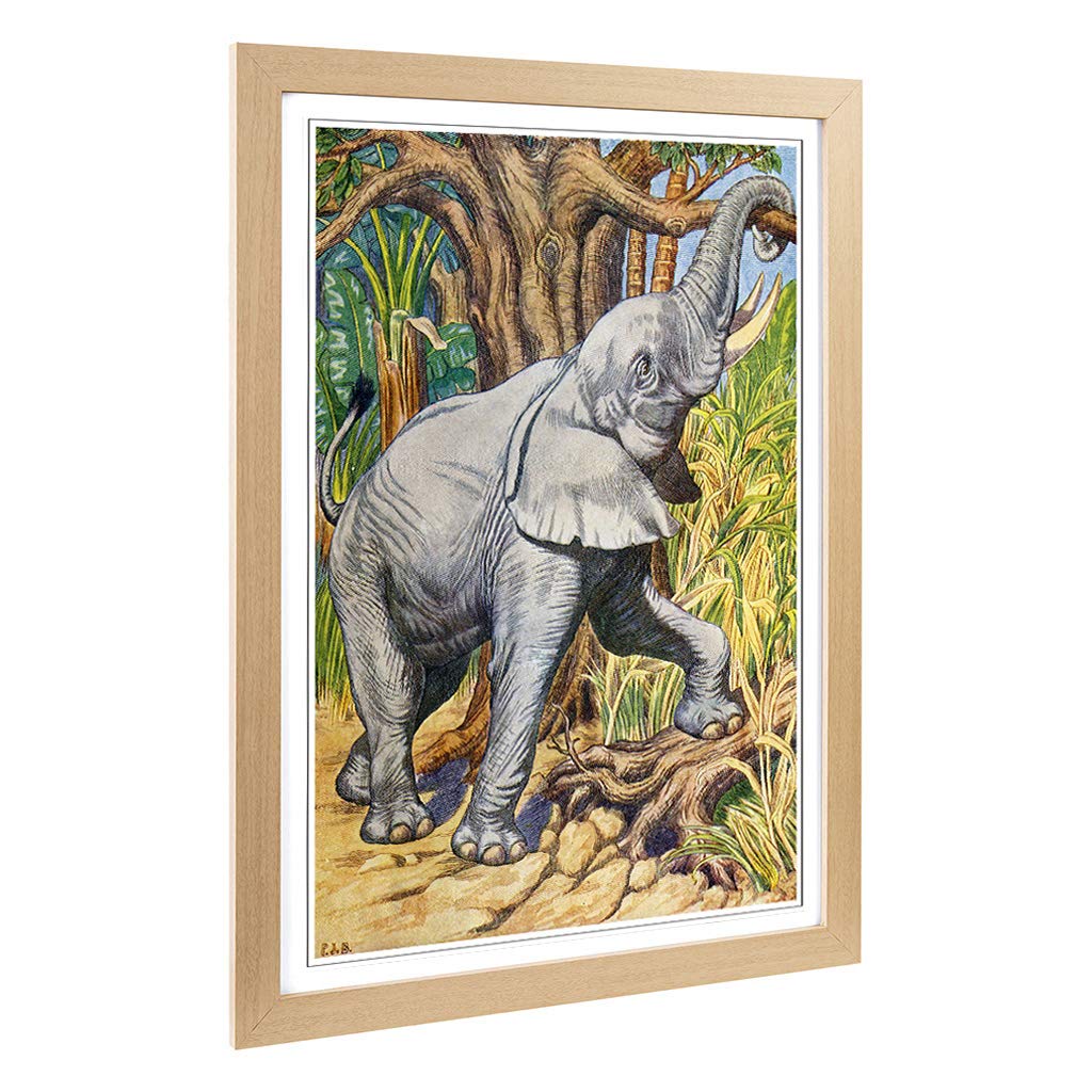 Big Box Art Framed Print of Vintage Percy J Billinghurst African Elephant Design | Wall Art Picture| Home Decor for Kitchen, Living Room, Bedroom, Hallway, Oak, A2 / 24.5x18 Inch / 62x45cm