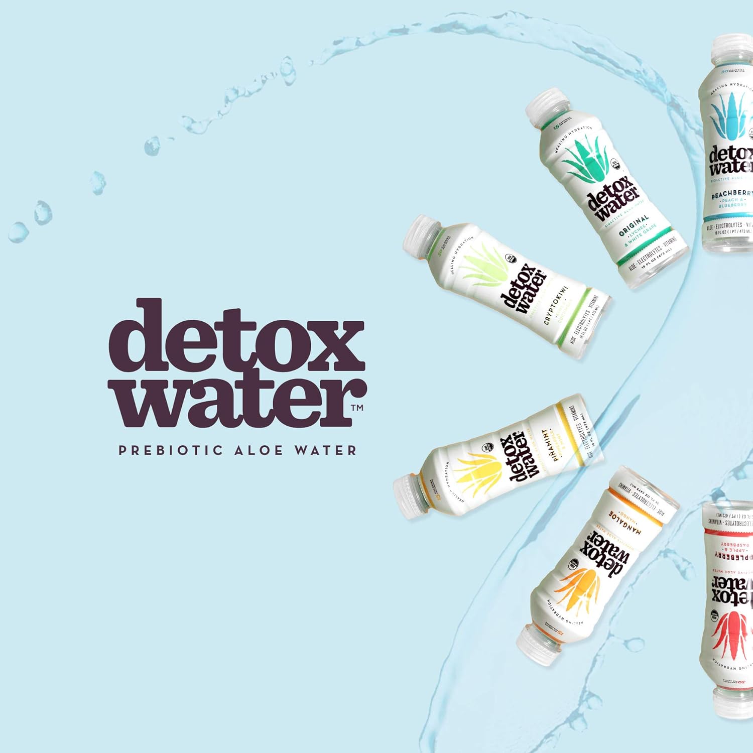 Detoxwater Organic Aloe Vera Prebiotic Water, Premium Aloe with Electrolytes, Vitamins, & Antioxidants to Support Digestive, Immune & Skin Health, 30 Calories (Cucumber & Kiwi, 12 PK): Health & Personal Care