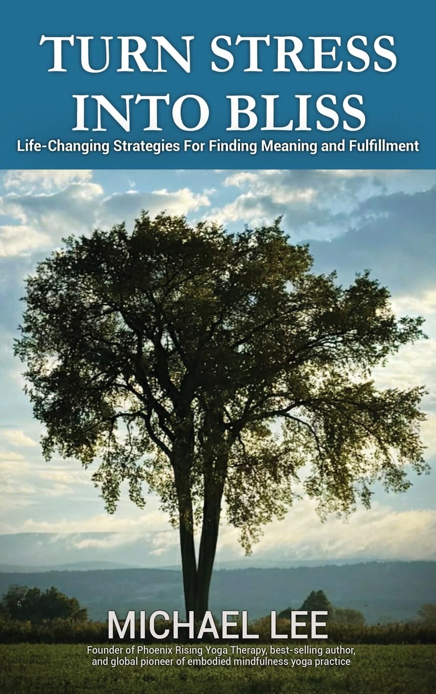 Turn Stress Into Bliss: Life-changing strategies for finding meaning and fulfillment