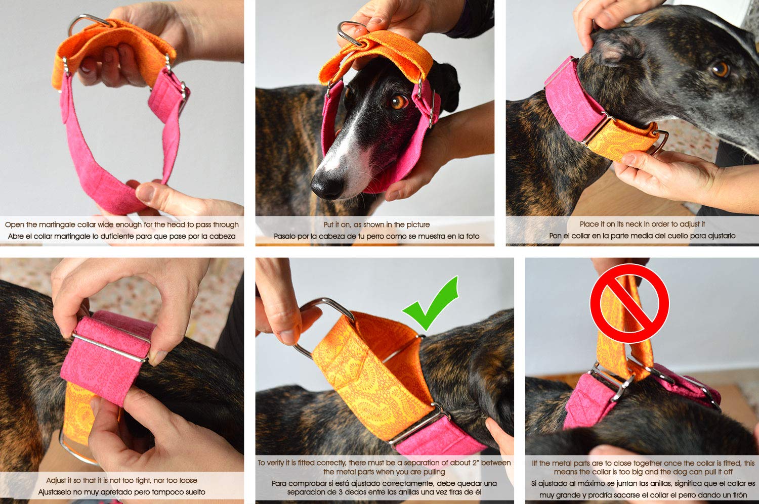 Collare per cani martingale: Nightfall, fatto a mano in Spagna da Wakakán