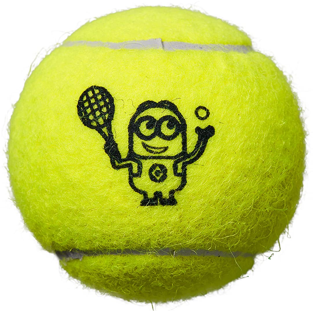 ☆お値下げ☆テニスボール　ミニオン Amazon | Wilson(ウイルソン) テニス 硬式 ボール MINIONS