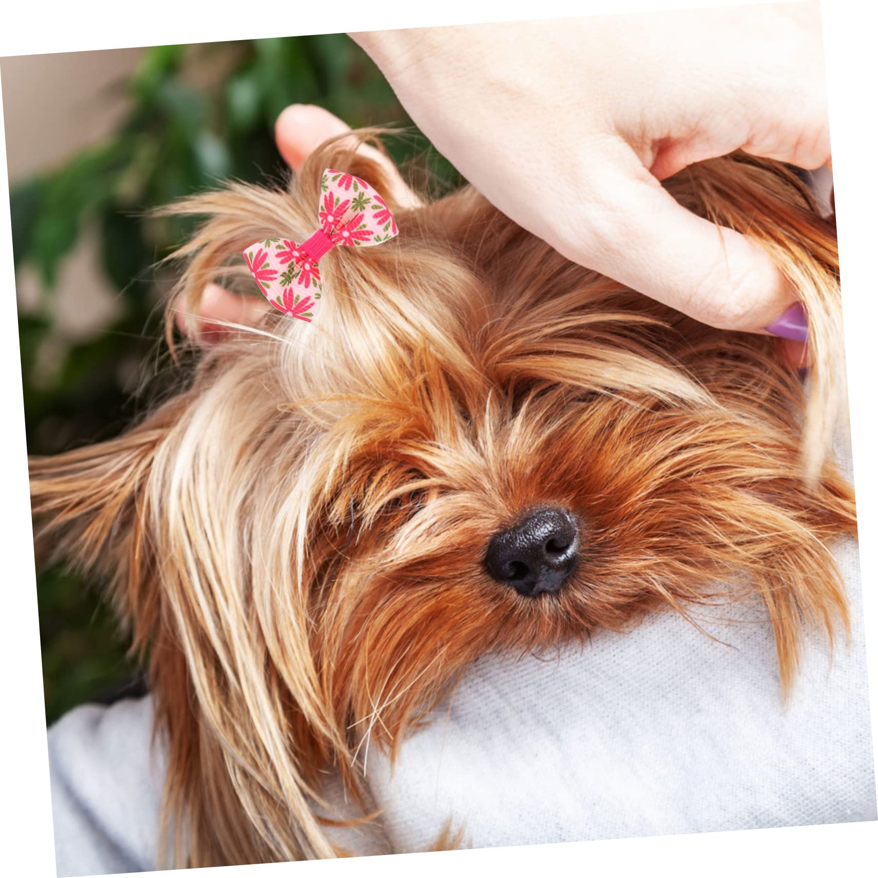 Mipcase 300 Piezas Flor De Cabeza De Mascota Perro Arcos Chica Cuidados del Perro Accesorios para Disfraces De Perros Pequeños Lazos para El Pelo De Perro Paño Pequeño Arco Elástico