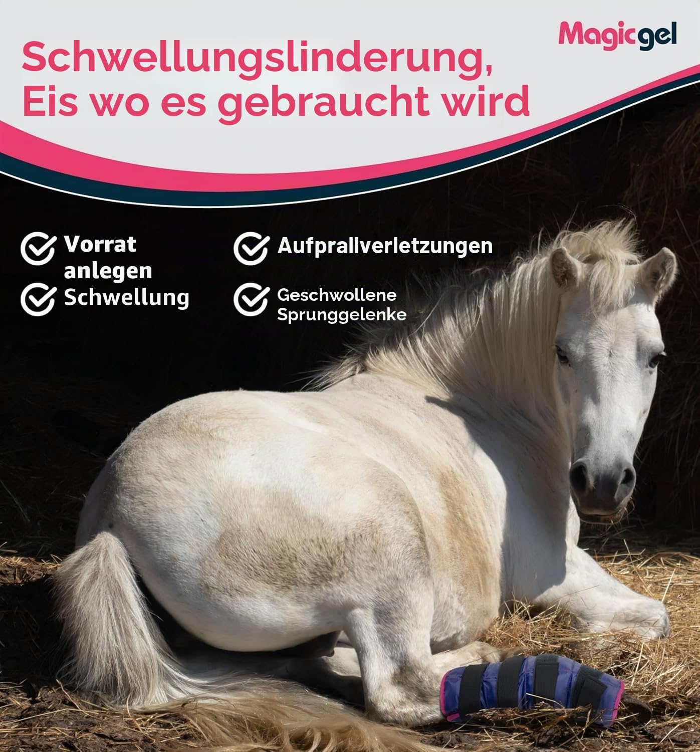 Magic Gel - Kühlgamaschen für Pferde - Gamaschen zum Kühlen von Sprunggelenk, Knöchel, Knie und Hufe - Kühlbandage für Pferde (Twin Ice Boot)