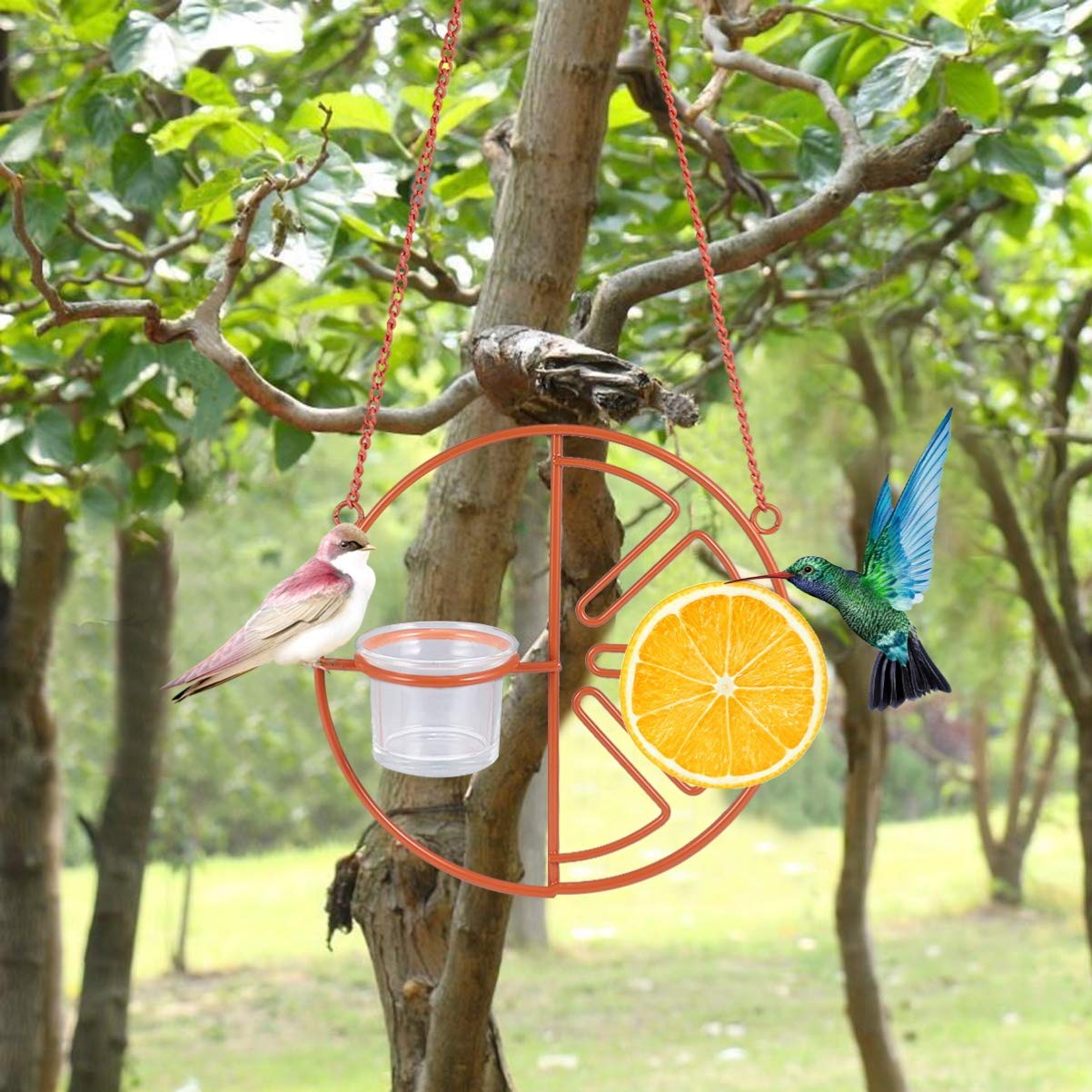 Mangiatoia Per Colibrì KKPLZZ 8 Posti | Capacità 510 Ml Con Fiori Rossi | Alimentatore Da Giardino Con Gancio | Facile Da Pulire - 2