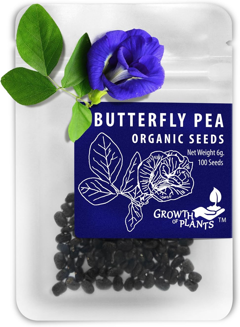 Growth of Plants Butterfly Pea 100 Dried Seeds (100 Seeds)