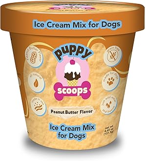 Dog Ice Cream Mix (Peanut Butter Flavor), 4.65 oz - Just Add Water and Freeze at Home, Powder Mix with Ice Cream Cup and Reusable Lid - Made in USA