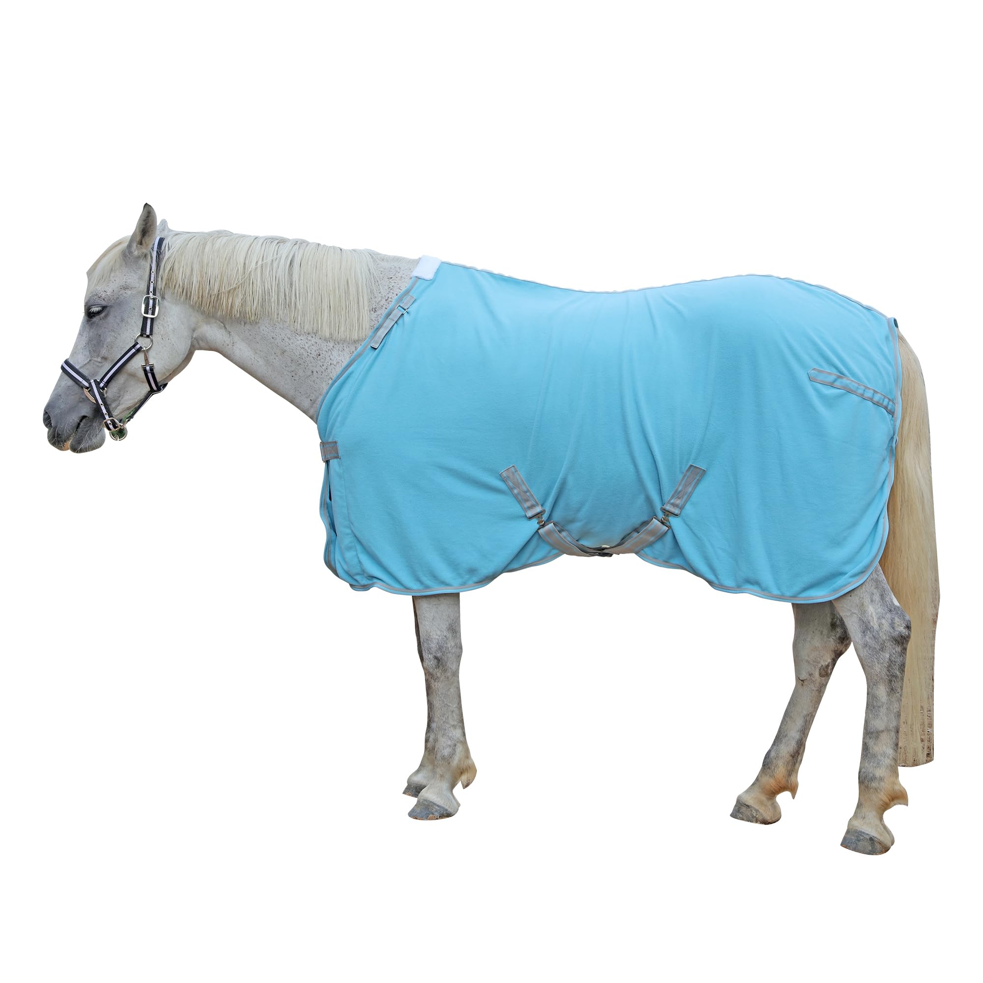 Gallopoff Couverture séchante pour cheval en polaire 300 g/m² – Respirante, absorbante & à séchage rapide, idéale après l’entraînement, la douche ou le transport