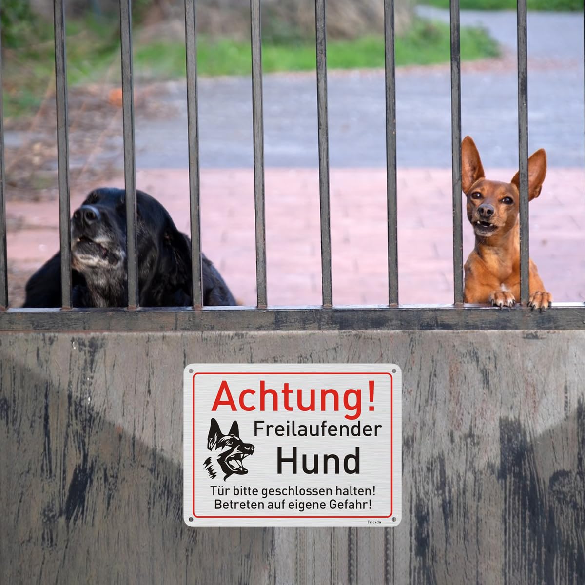 Acuxiaza Warnschild Hund – 2 Stück, 25x10 Cm, Aluminium, Selbstklebend & Mit Löchern