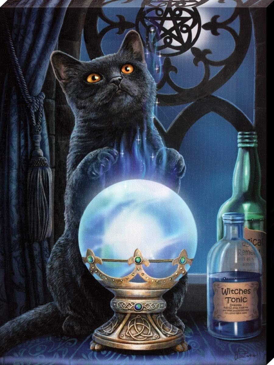 Grindstore Lisa Parker The Witches Apprentice Canvas Print 19 x 25cm