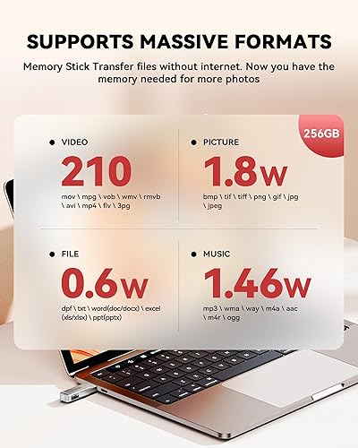 Miniatura 7 de Dispositivo de Fotos para iPhone de 256GB con Certificación MFi, Unidad Flash USB para Respaldo de FotosVideos, Memoria USB de Alta Velocidad