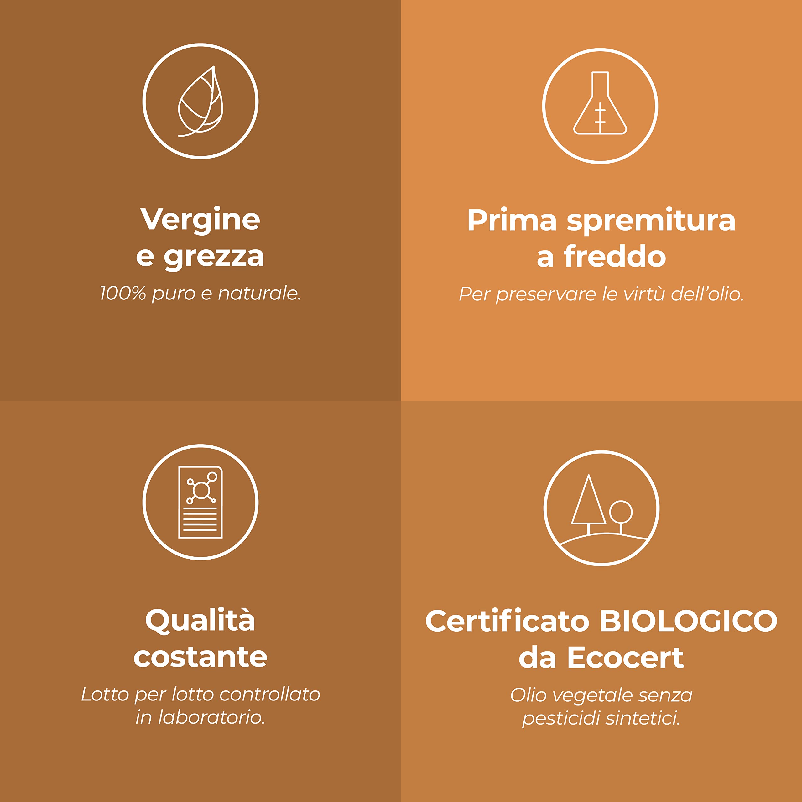 BIO - Huile végétale PÉPINS DE FIGUE DE BARBARIE - 10mL - 100% Pure, Naturelle, Pressée à froid et Certifiée Cosmos - AROMA LABS (Marque Française) (Lot de 2)
