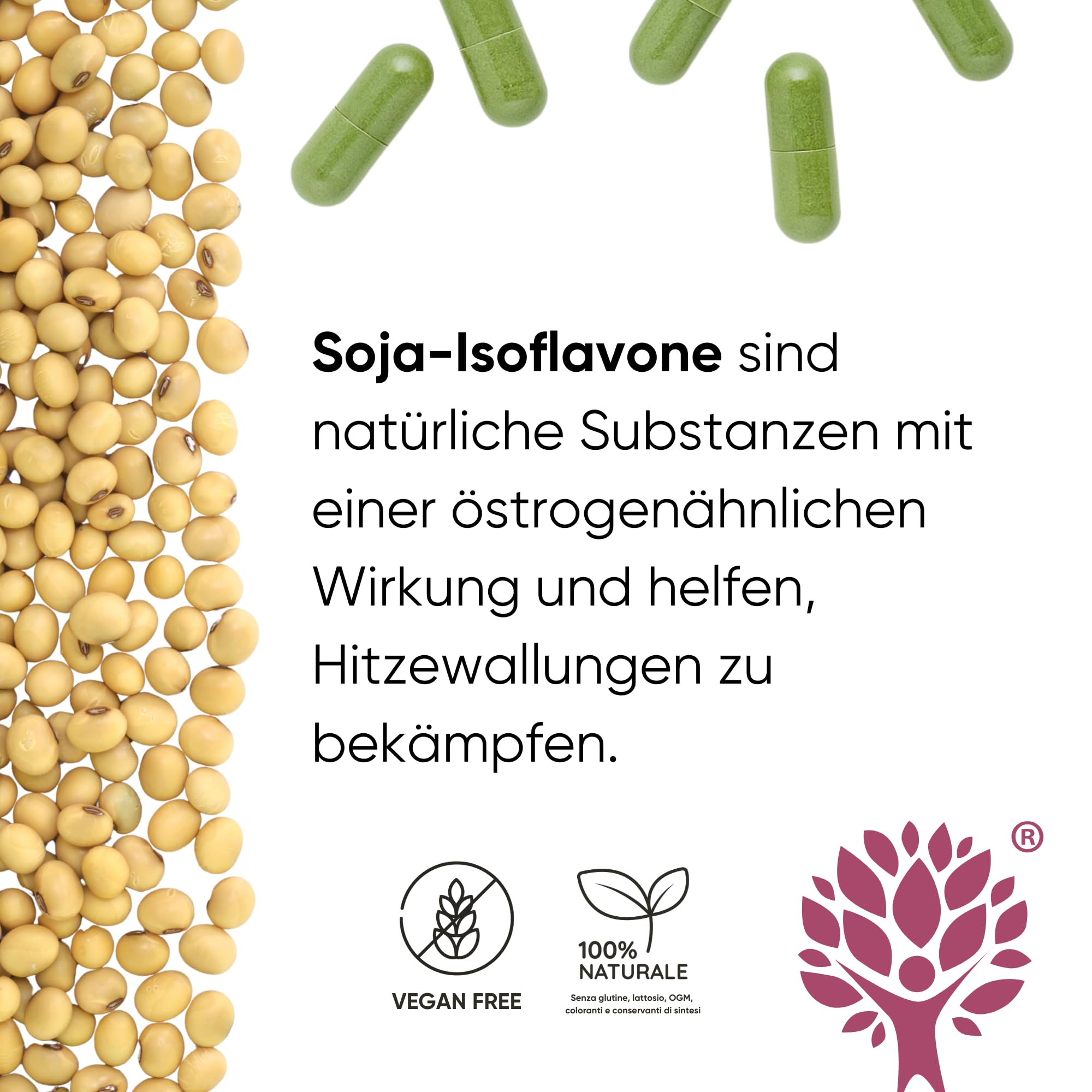 Formel für fortgeschrittene Menopause | Nahrungsergänzungsmittel Cimicifuga Menopause mit natürlichen Östrogenen gegen Hitzewallungen | Bio-Moringa zur Gewichtskontrolle | 60 Kapseln