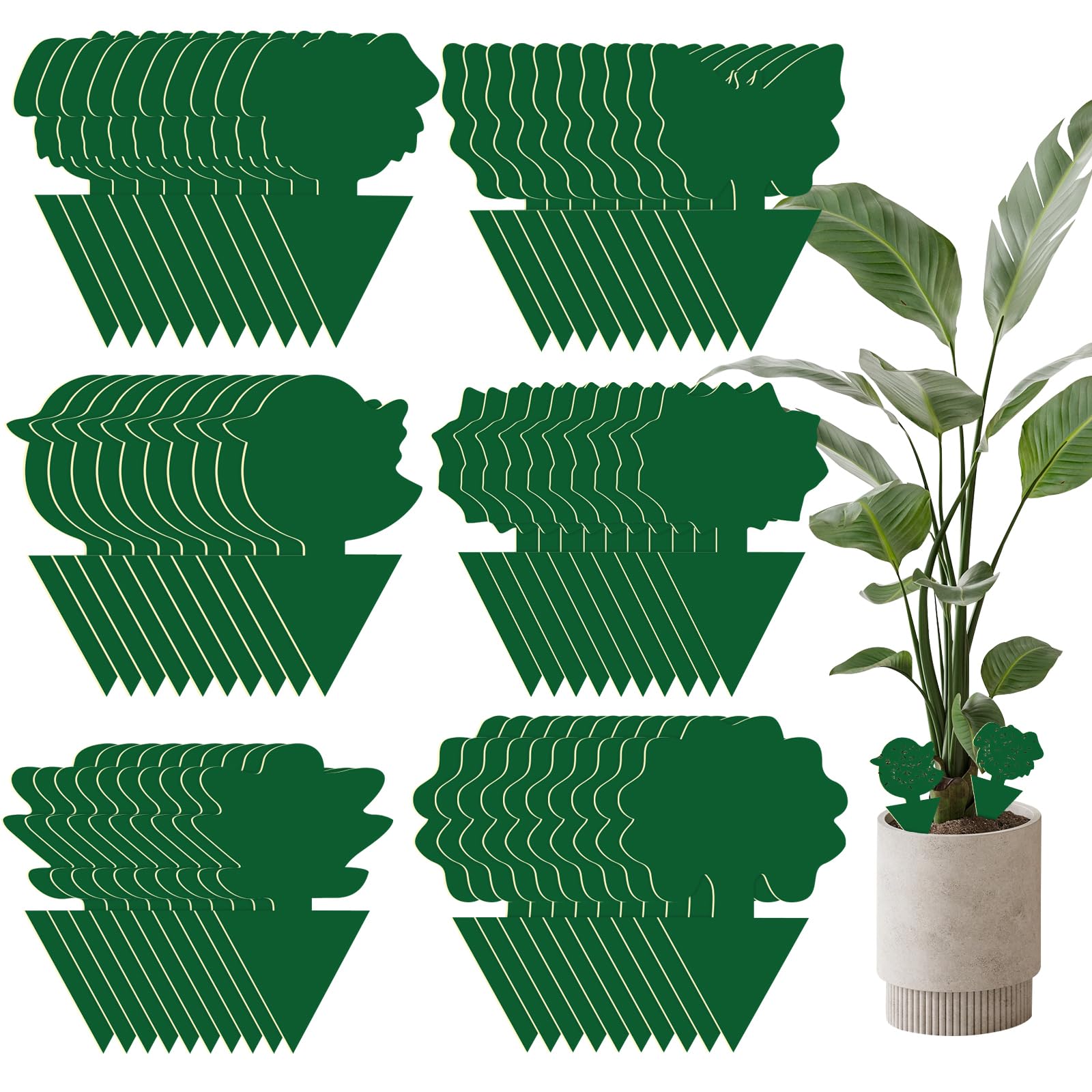Bighan 60Pcs Fruit Fly Traps, Double-sided Fungus Gnat Sticky Catcher For Multiple Insects, Plant Fly Control Indoor (Green