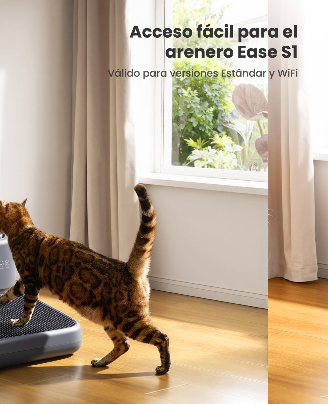 CB01 - Bandeja de arena para gatos, rampa