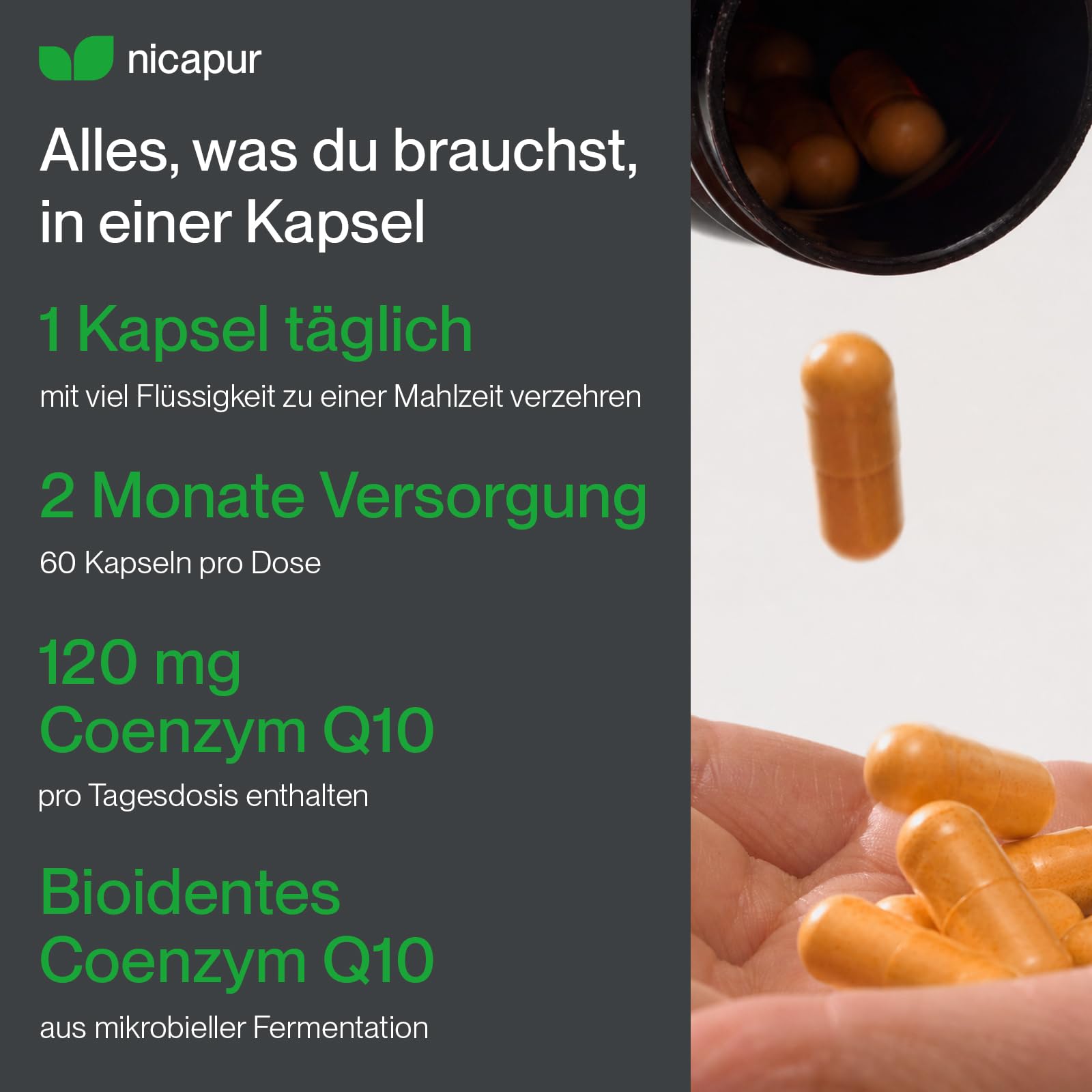 nicapur® Coenzym Q10 120 mg pro Kapsel I 100 % reines, bioidentes COENZYM Q10 I 60 Kapseln I laborgeprüft I in Österreich produziert I vegan