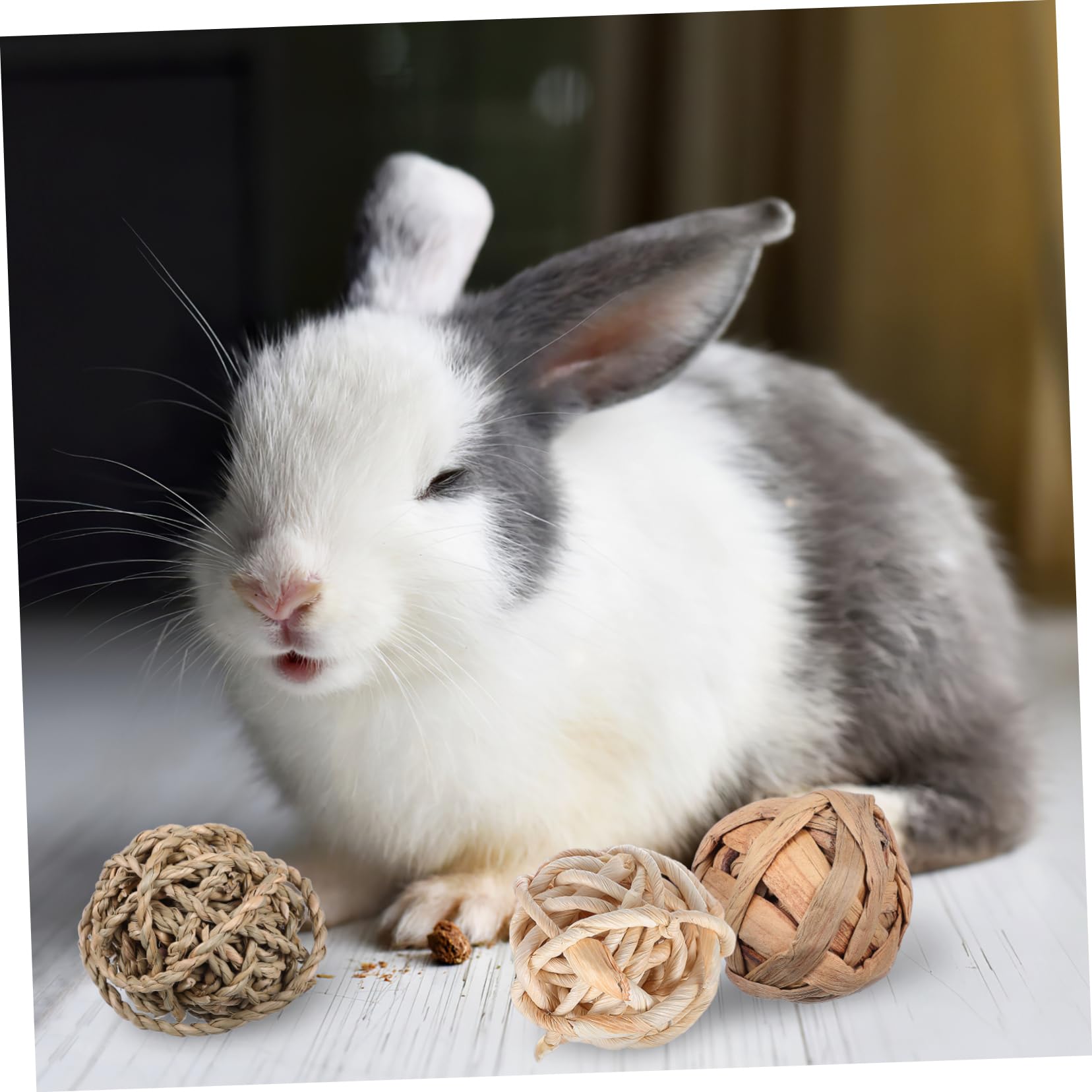 INOOMP 2sets Giochi Per Conigli Con Giocattoli Da Masticare e Palline Accessori Per Piccoli Animali Giocattoli Appendibili Per Ratti e Criceti Facili Da Installare Decorazioni Per Gabbie