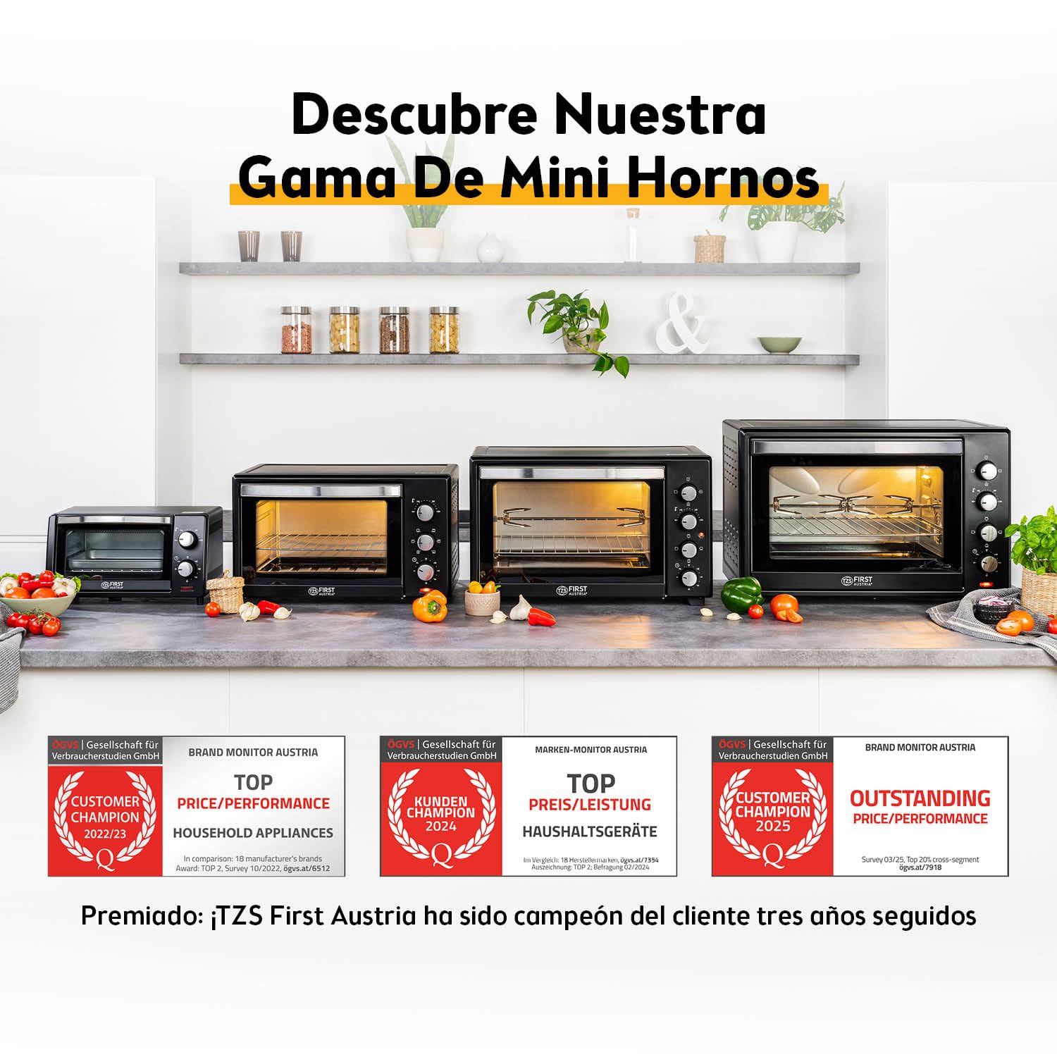 Mini Horno 20L 1380W TZS First Austria con Regulación de Temperatura hasta 230°C y Temporizador 60 min