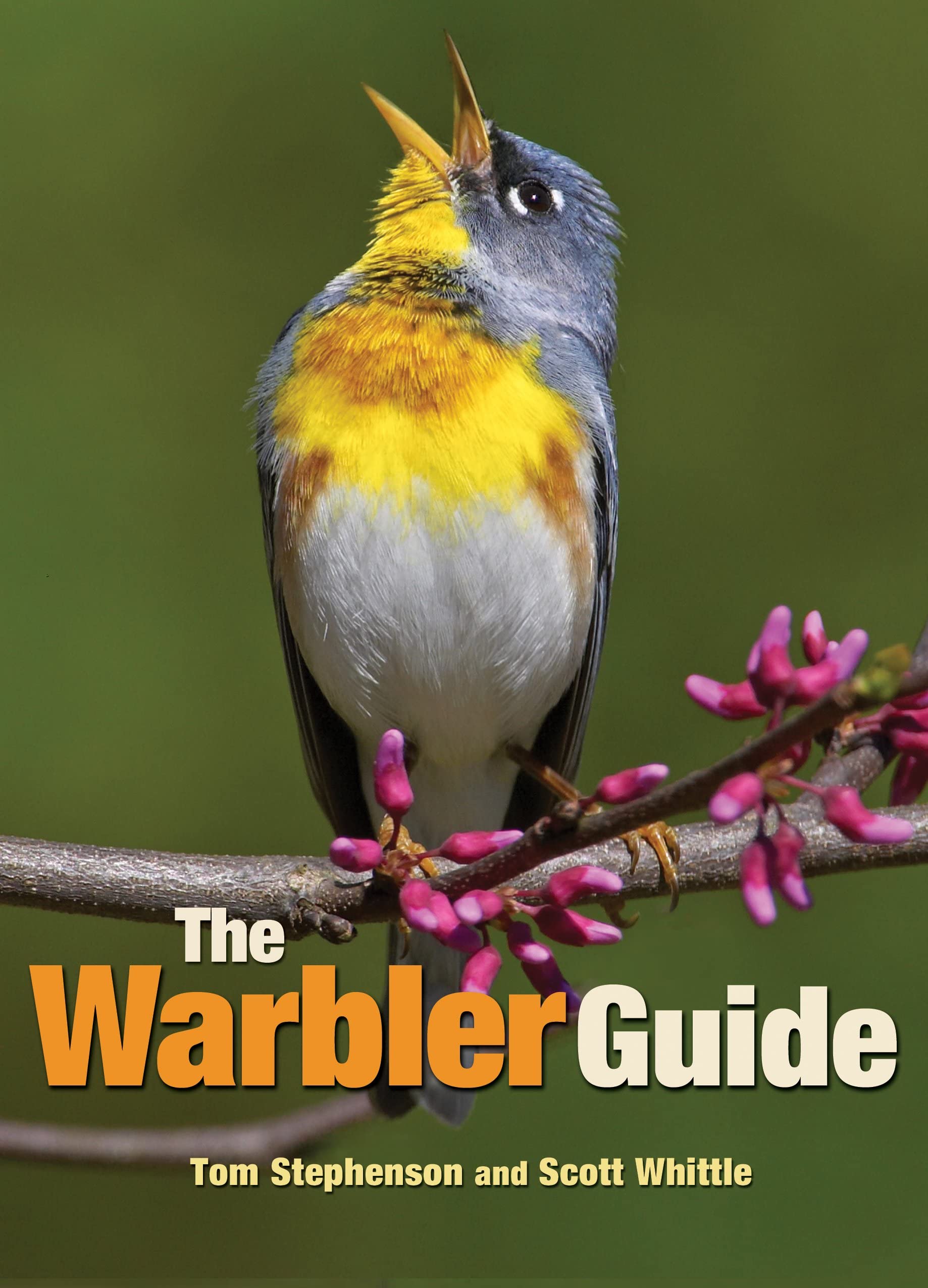 The Warbler Guide Flexibound – July 7, 2013