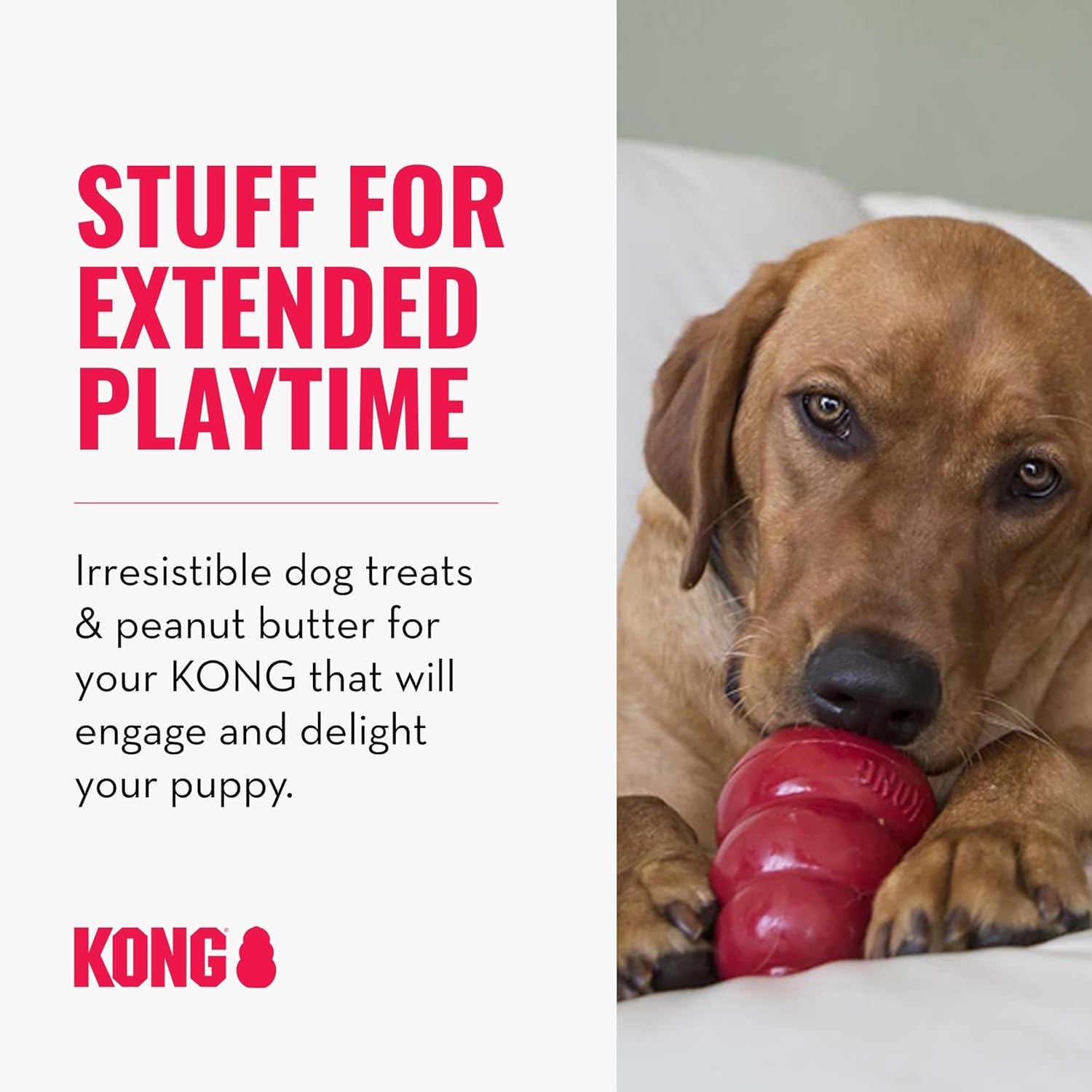 Kong Peanut Butter Treats Combo - Includes Kong Easy Treat Spray, Snacks & Enhanced Ziggies - Medium/Large Dogs