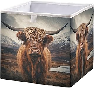 Highland Cow Foldable Collapsible Storage Box Bins,11x11x11 Inch Cubes Baskets Fabric Storage Bins with Handles for Shelves Nursery Closet Home Decor