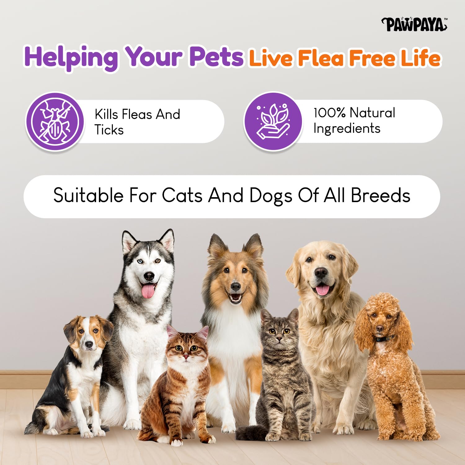 Pawpaya Flea & Tick Control Powder | Neem-Based Protection for Dogs & Cats | Reduces Itching & Skin Irritation | Safe, Non-Toxic | 100g 3
