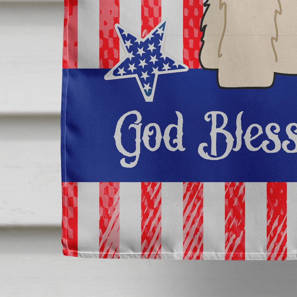 Primer De Las Estrellas En Una Bandera Americana, Estados Unidos Foto