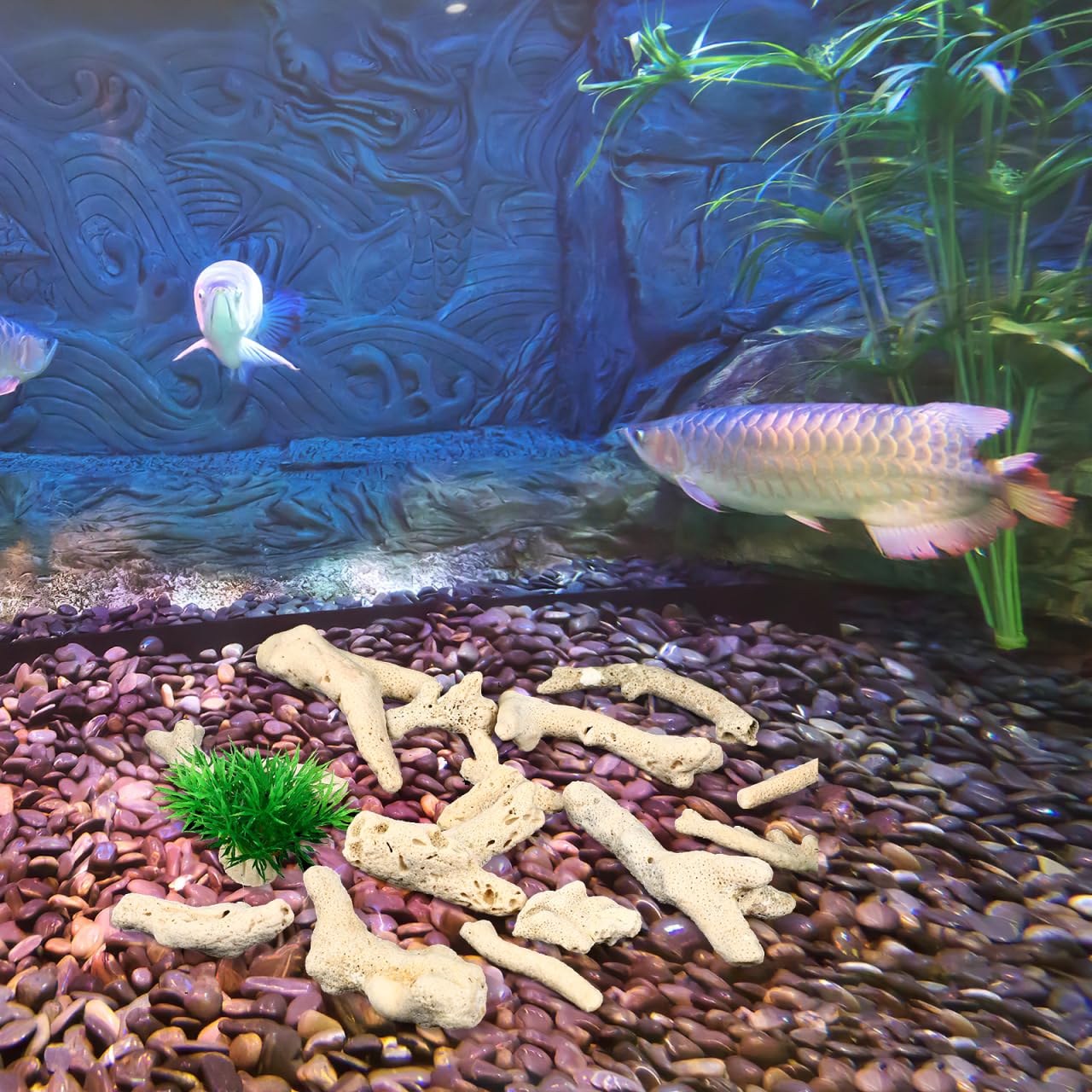 Filtermedia - Aquariumfilter kopen? - Pets Place Filtermedia - Aquariumfilter kopen? - Pets Place