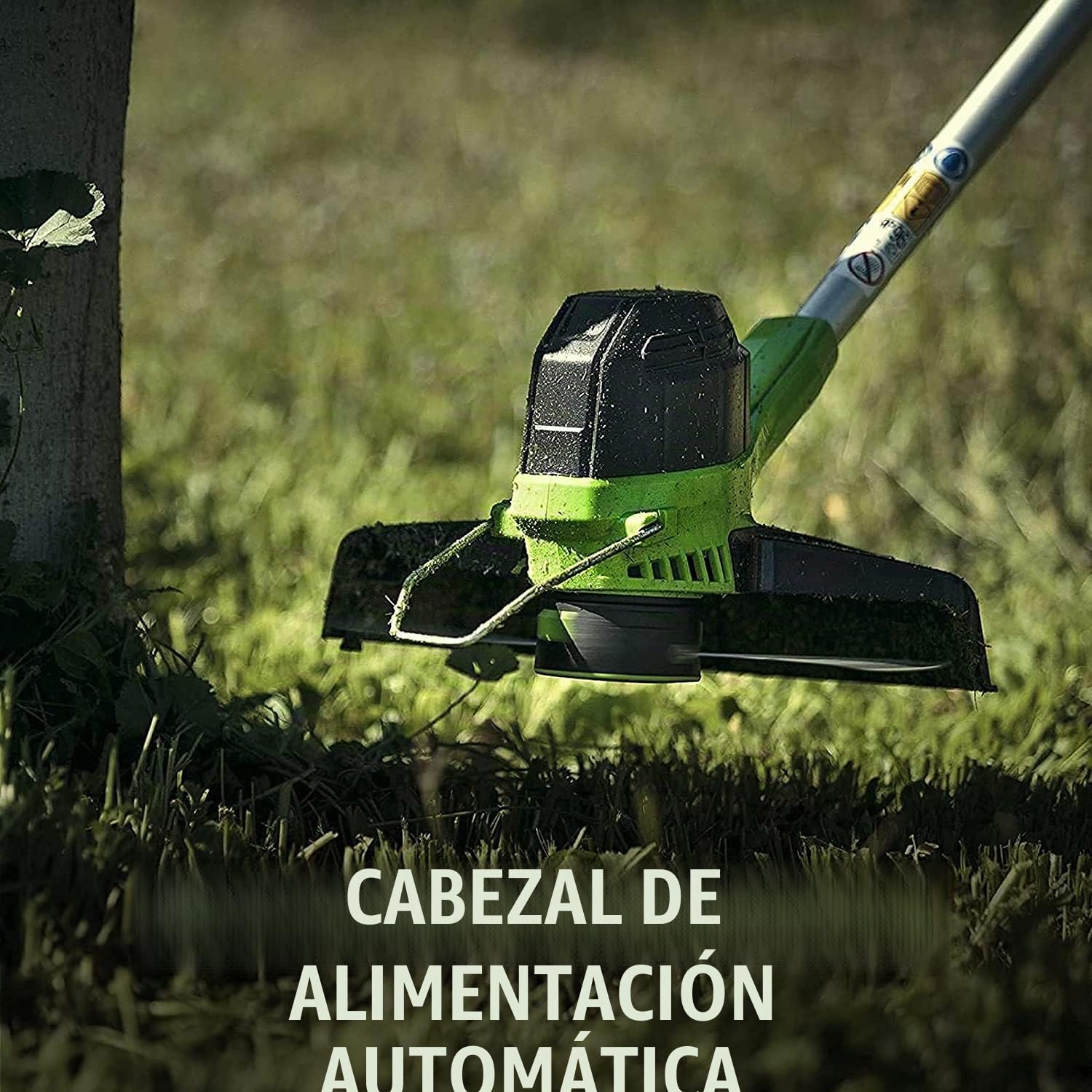 Greenworks 40V Cortabordes a Batería para Jardín Mediano, Altura Regulable, 30 cm Ancho de Corte, Alimentación Automática Nylon de 1,65 mm, Batería 40 V 2 Ah y Cargador, 3 Años de Garantía G40LTK2