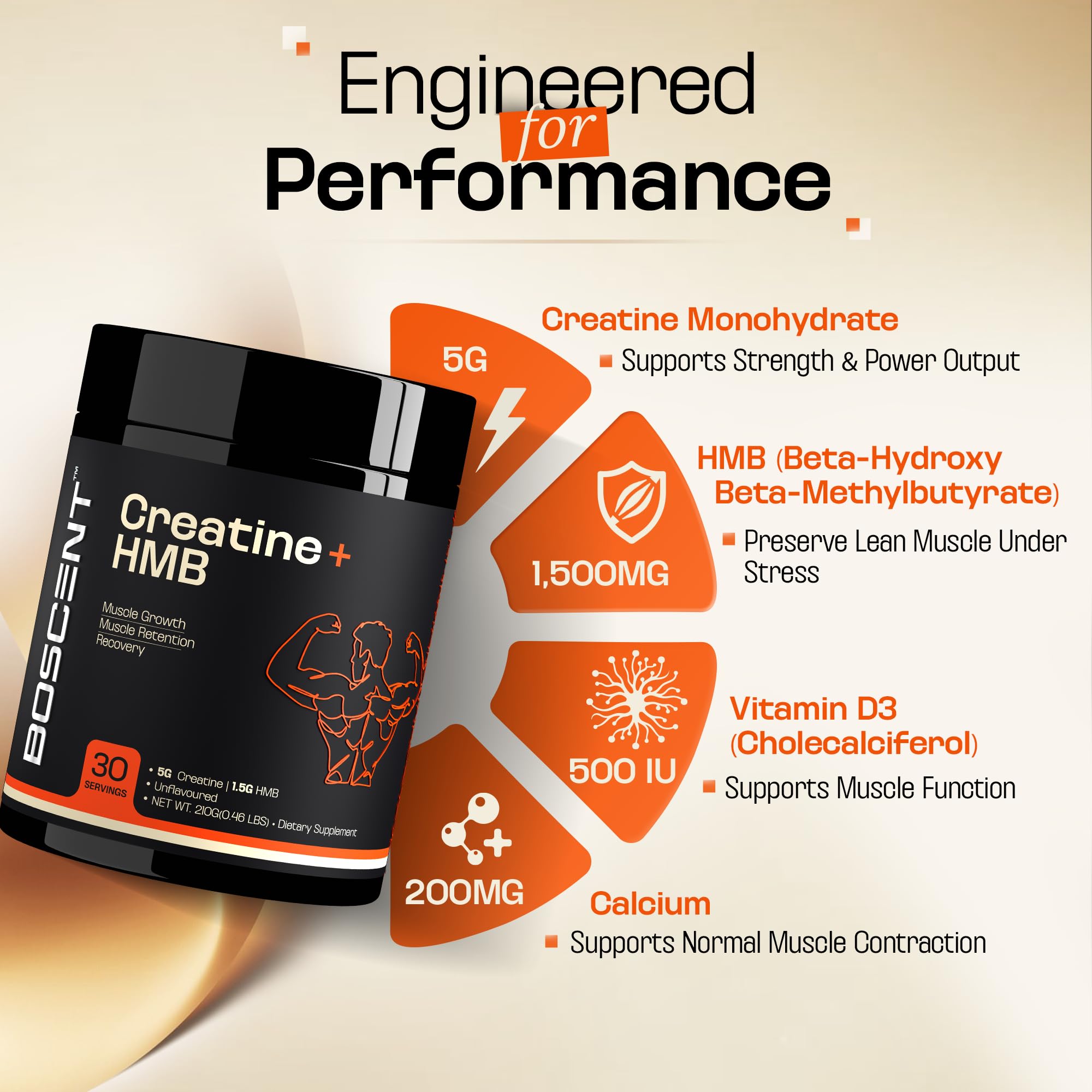 Creatine + HMB Powder - Strength & Recovery