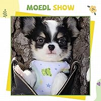 Vista 7 de Camisa para perros pequeños, linda camiseta de algodón suave sin mangas para perros pequeños, gatos, chaleco de verano para perritos, camiseta