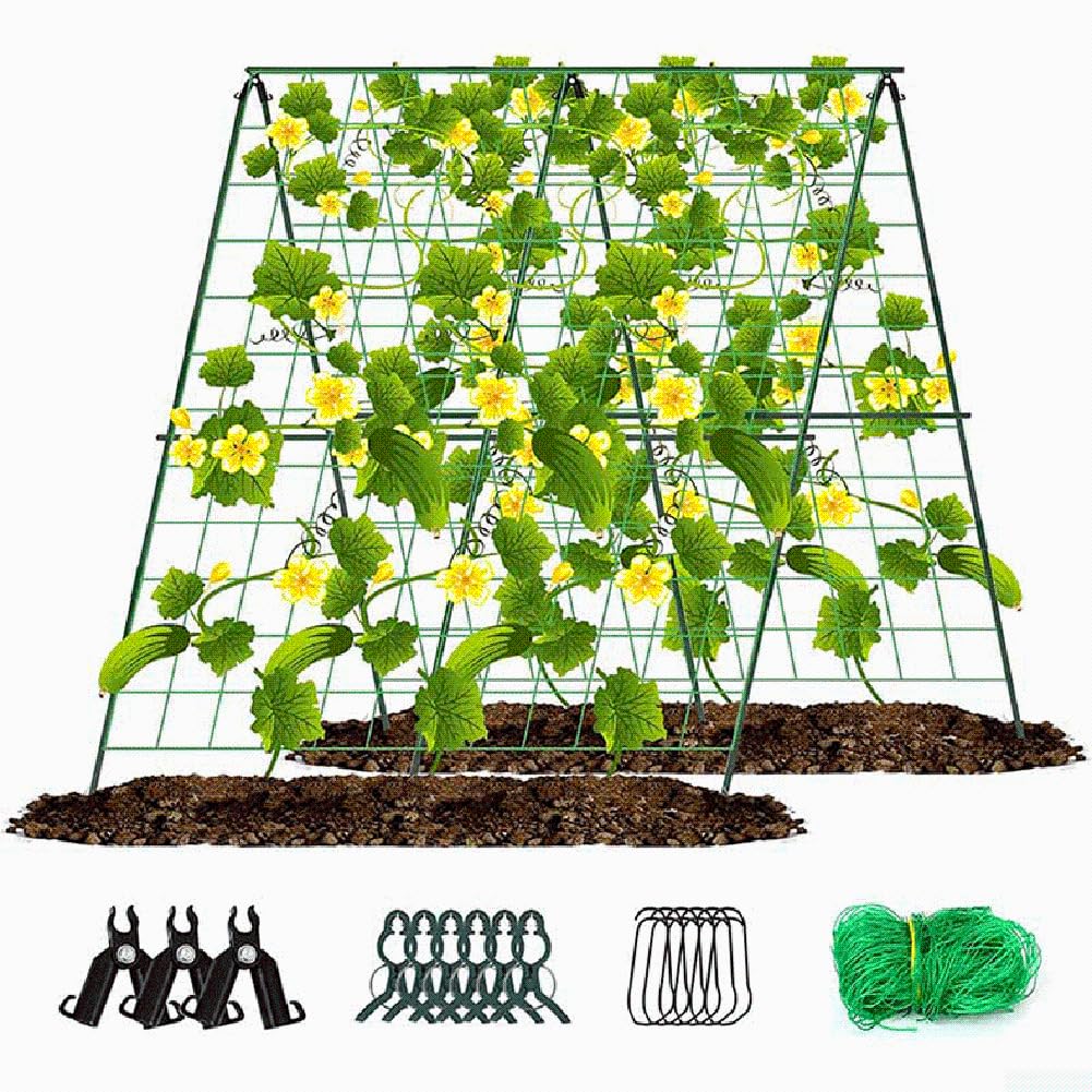 Enrejado Plegable A-Frame 48x48 Pulgadas para Pepinos