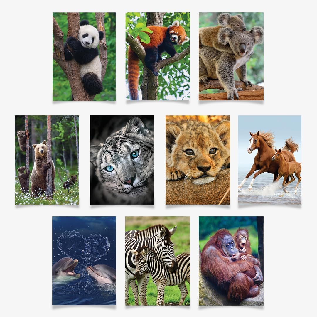 – 10 Assorted for All Occasions Adorable Animal Greeting Cards, Large 5x7 inch, Blank Inside - Lion, Horses, Zebras, Dolphins, Pandas, Koalas, Bears, Red Pandas, Snow Leopard, Orangutan