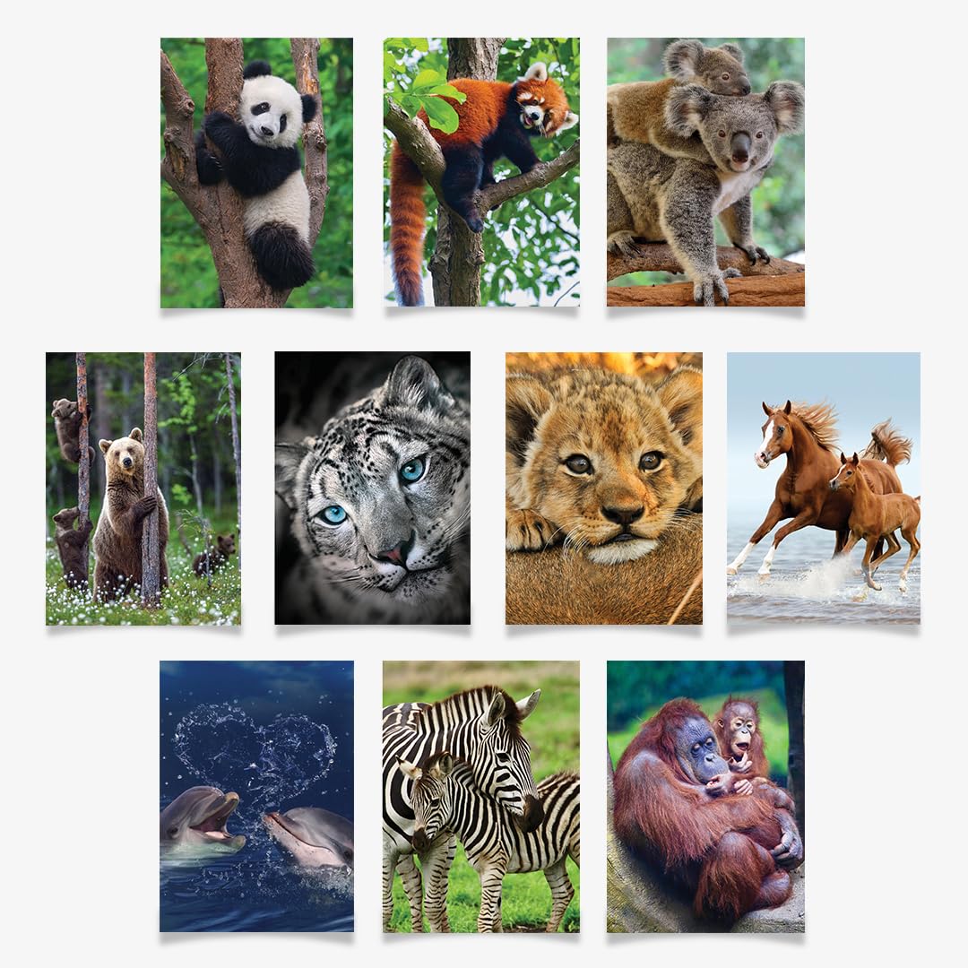 10 tarjetas de felicitación de animales surtidas para todas las ocasiones, 5 x 7 pulgadas (A7), plegadas, interior en blanco, león, caballos, cebras, delfines, pandas, koalas, osos