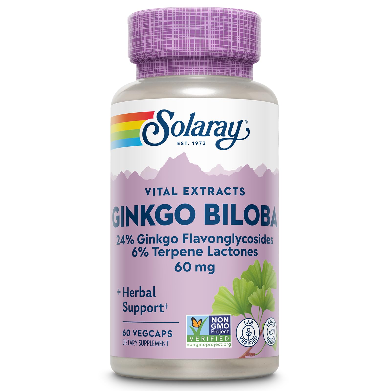 Solaray Ginkgo Biloba Leaf Extract 60mg Veg Capsules For Cognitive Support, Pack of 60's