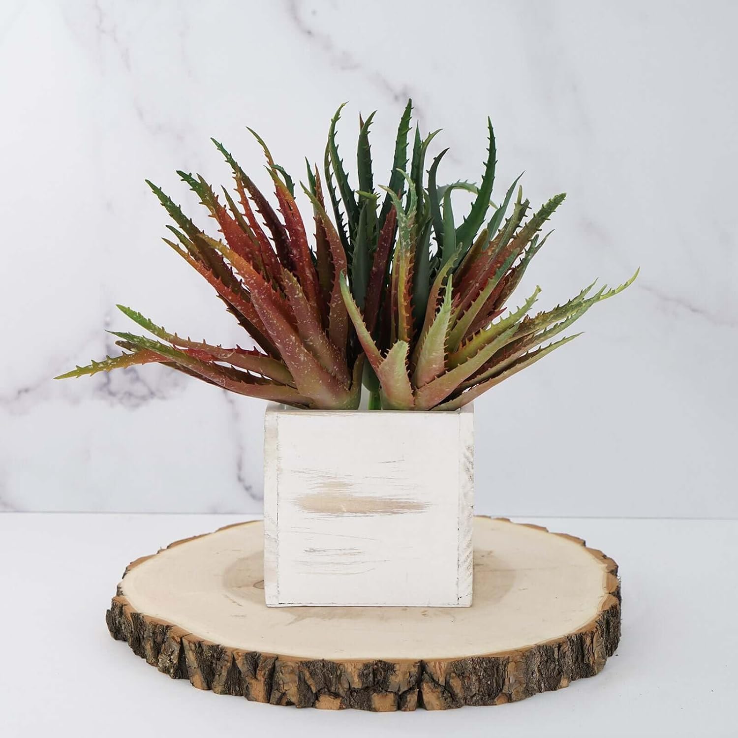 Efavormart Set of 3 | 12" Assorted Artificial Succulent Plants Aloe Cameronii Picks Mini Green Plants