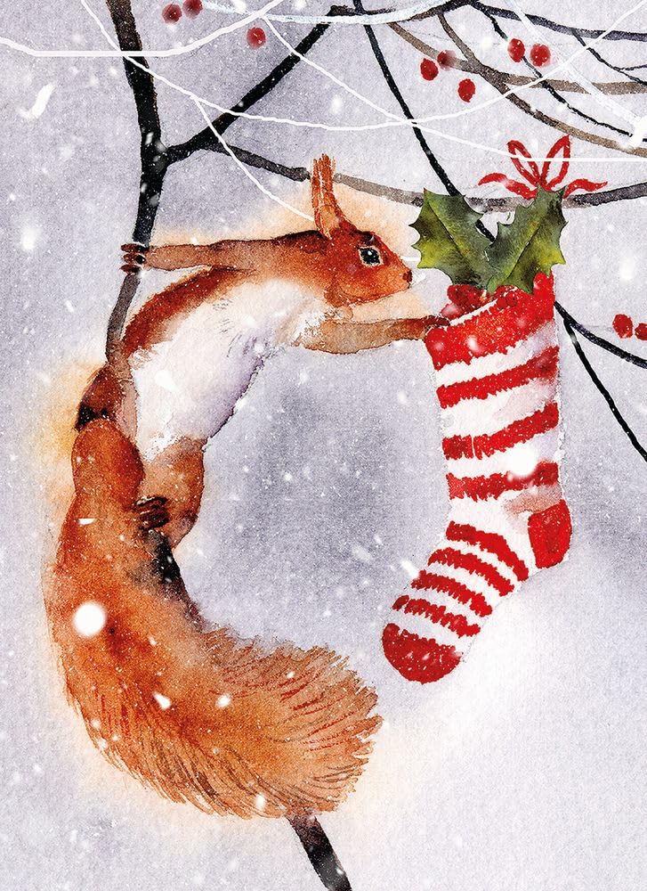 Museums & Galleries Christmas Cards Pack of 8 - Squirrel and Stocking Design - Festive Christmas Cards Multipack