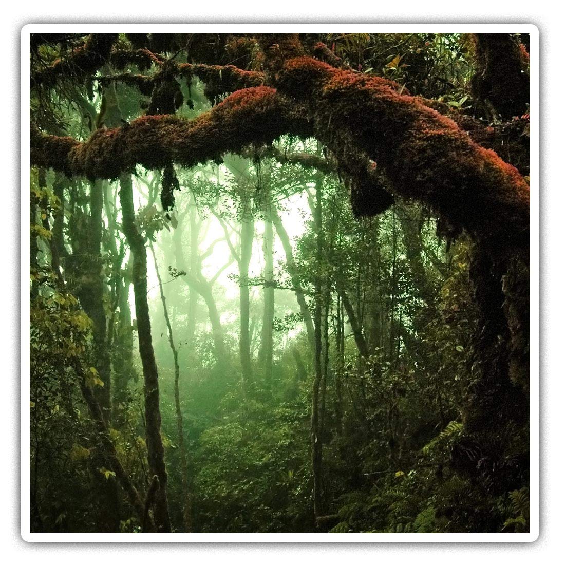 Square Stickers (Set of 2) 10cm - Tropical Rain Forest Trees Laptop Tablet Luggage Scrapbook #2230