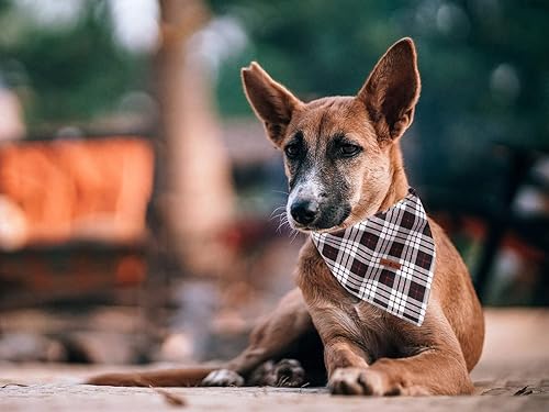 Miniatura 6 de lionet paws Bandana de Pascua para perro con patrón de conejo para perros pequeños, medianos y grandes, pañuelo de perro y gato, pañuelo triangular,