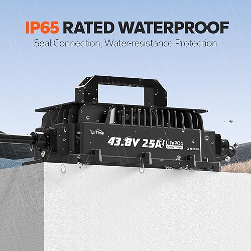 Miniatura 7 de LiTime Batería LiFePO4 de protección a baja temperatura con Bluetooth OBM de 36 V 100 Ah con cargador de 43.8 V 25 A, BMS integrado de 100 A,