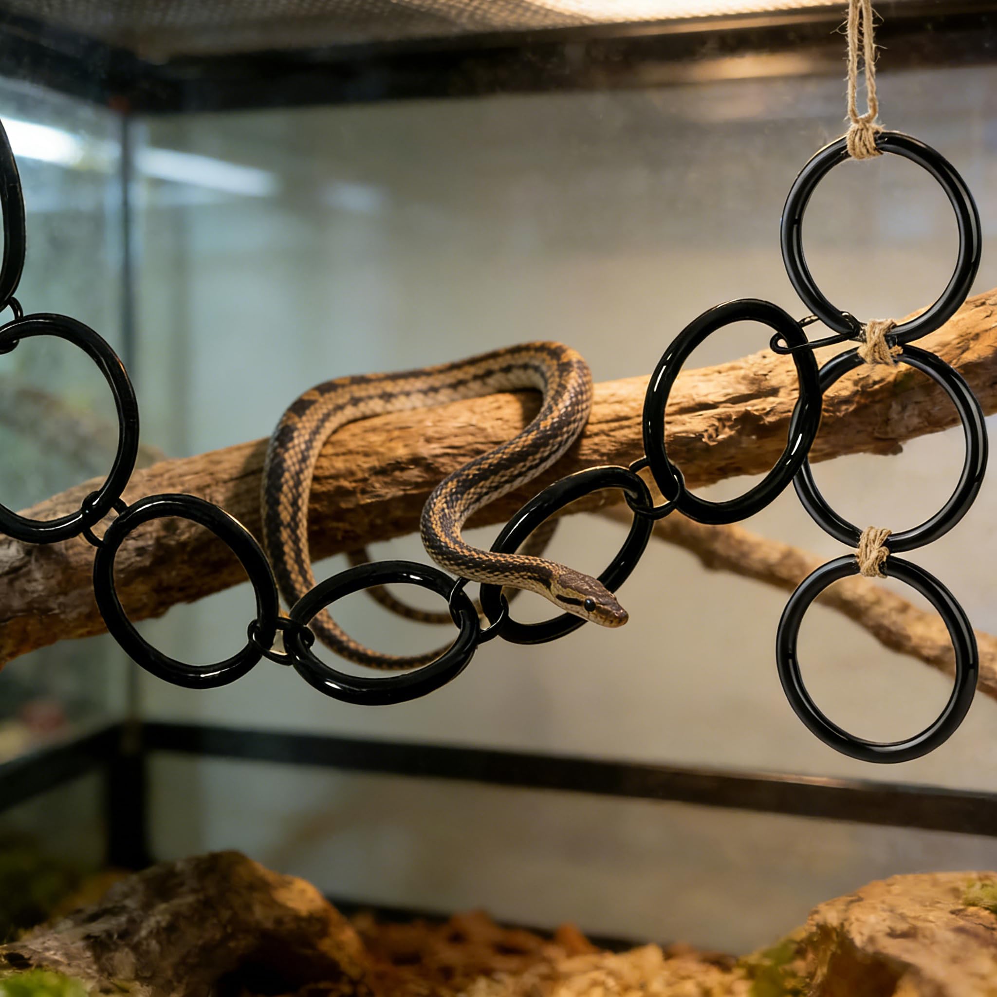 Schlangen Kletter Ringe für Ball Python und Corn Snake Reptilien Beschäftigungs Spielzeug für Schlangen Ball Python Terrarium Dekoration Reptilien Terrarium Zubehör Bearded