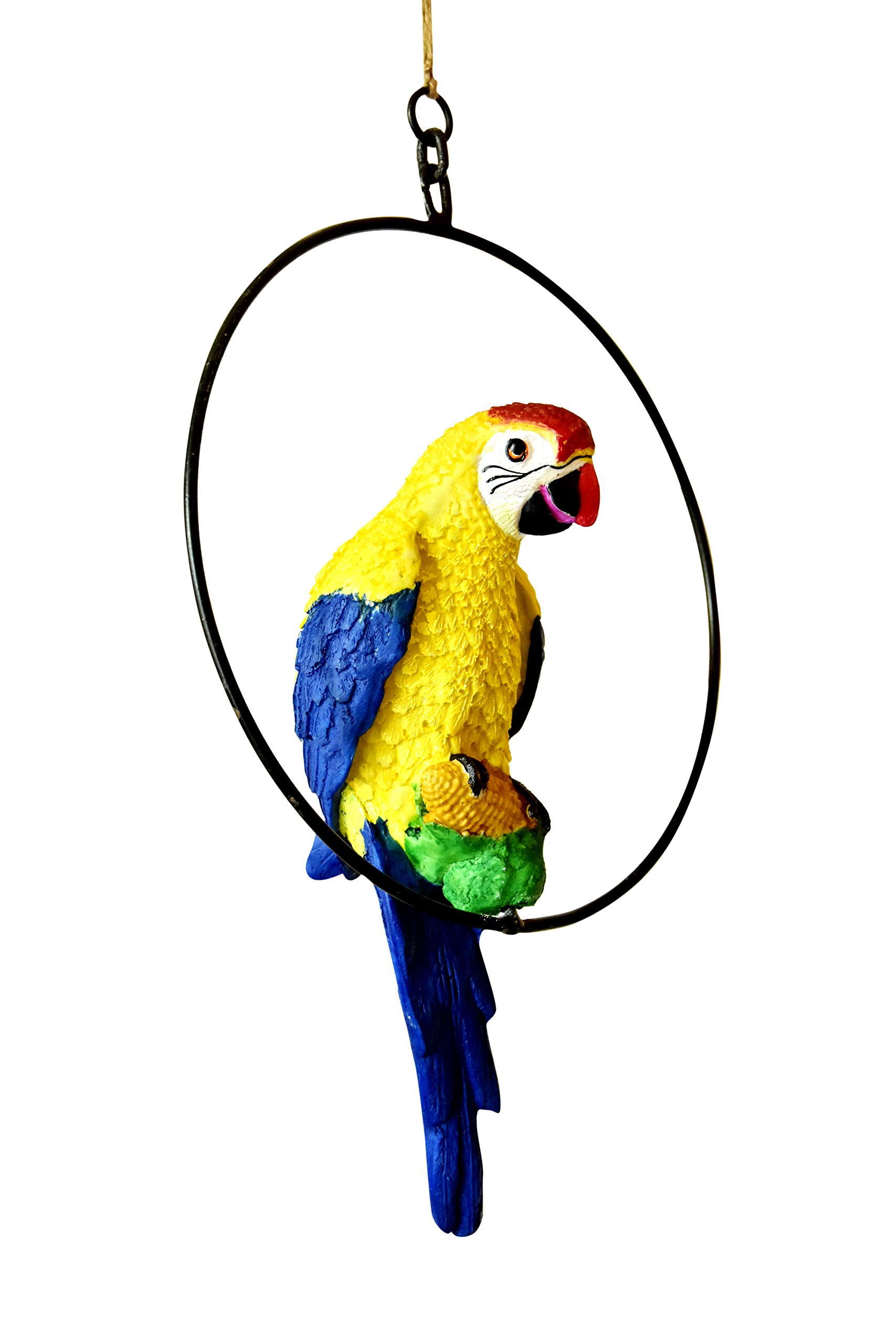 Mariner's Creation POLYRESIN & IRON RING Hanging Parrot - 30.5X10.2 cm, Multicolour.