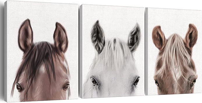 Set of 3 Horse Pictures Wall Art Decor Framed 11.5x15 Inch