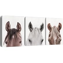 Horse Wall Art Decor Set of 3 Modern Animals Horse Canvas Painting Pictures Framed Horses Canvas Prints Artwork Ready to Hang for Home Office Decoration 12x15 Inch