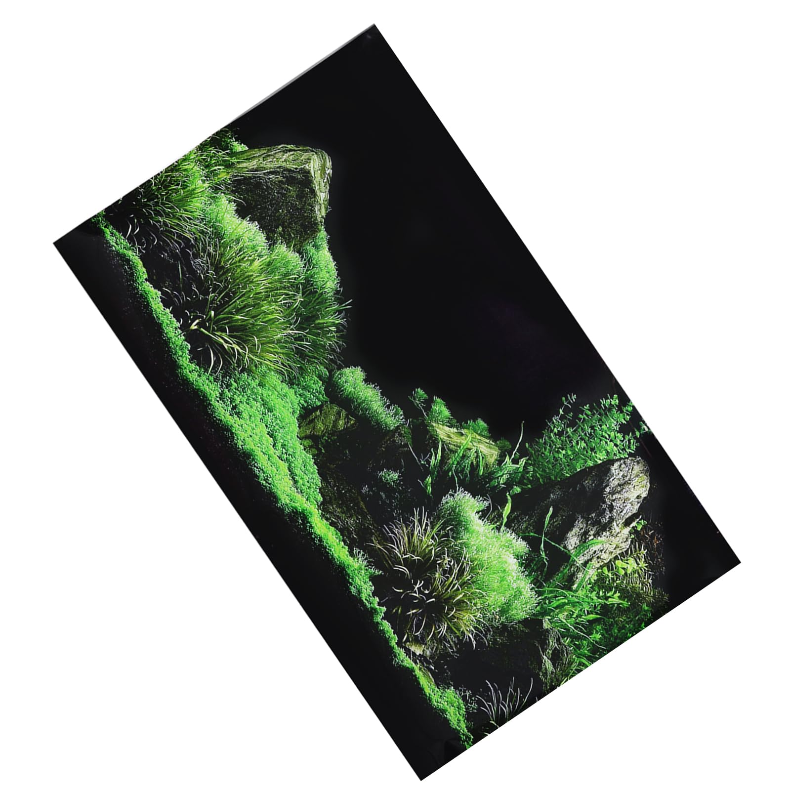 Qcwwy Aquarium Fish Tank Seafloor Water Grass Background Decoration Sticker, Non Reflective PVC, Easy to Use, Waterproof - Image 3
